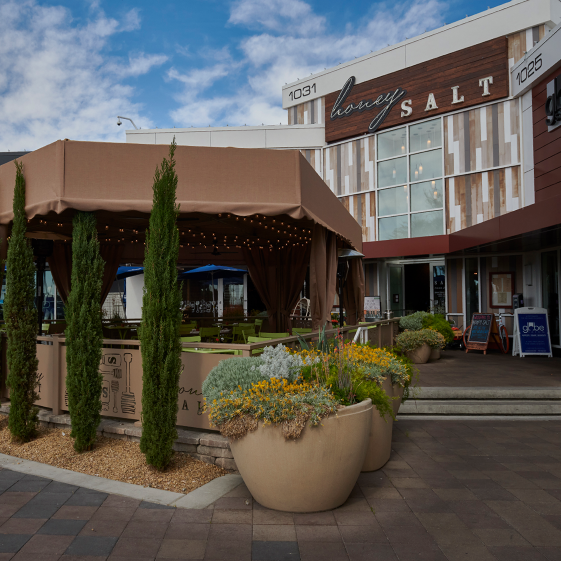 Default placeholder image